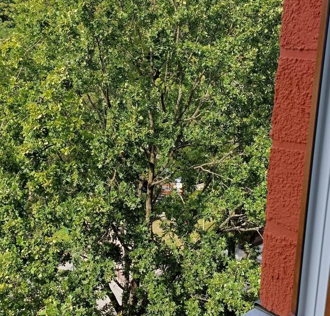 403 Przy Plazy 150 M2 Dobruk Apartamenty 5 Sypialni 2 Lazienki Sikorskiego 1 Kolobrzeg Apartment