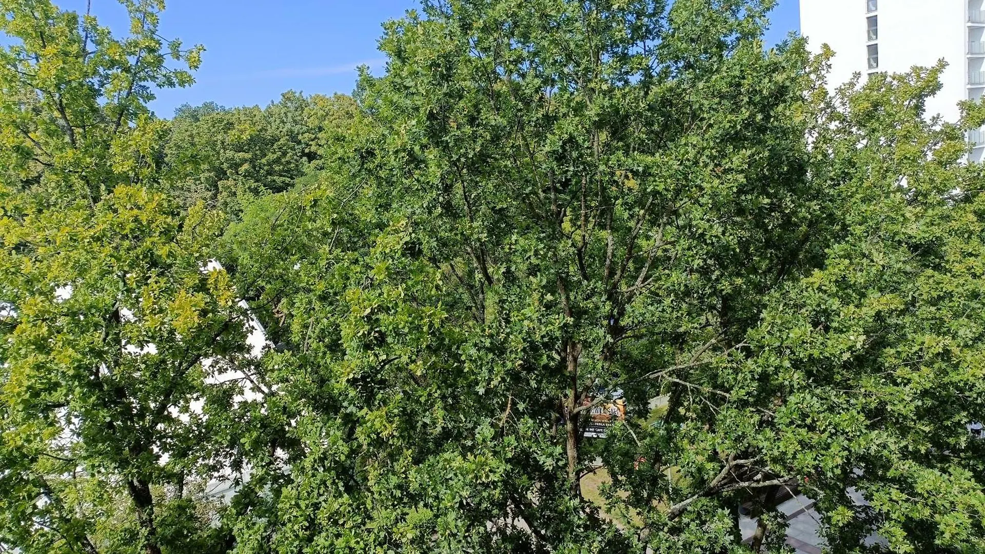 Apartmán 403 Przy Plazy 150 M2 Dobruk Apartamenty 5 Sypialni 2 Lazienki Sikorskiego 1 Kolobřeh Polsko